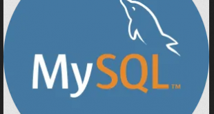 Cara Import database MySQL dari terminal di Ubuntu