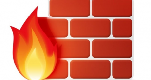 Fungsi Firewall dan pentingnya untuk keamanan